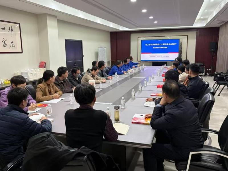 市委第二巡察组在高新区参加“两新”组织党的创新理论专题学习