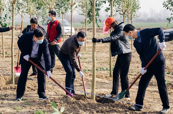 又是春暖植树季 美丽高新添新绿