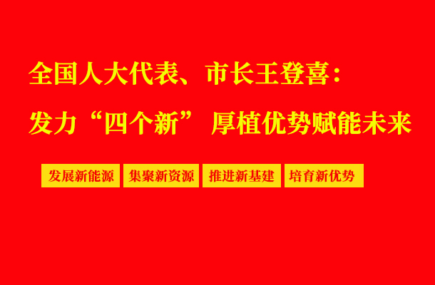 全国人大代表、市长王登喜：发力“四个新” 厚植优势赋能未来