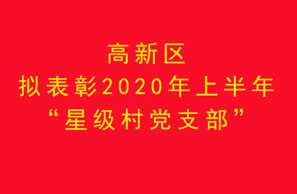 高新区拟表彰2020年上半年“星级村党支部”