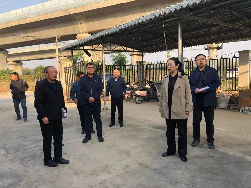 巩红敏督导调研乡村振兴和农村集体“三资”领域集中整治工作